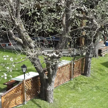 Alpenrose Imsterberg