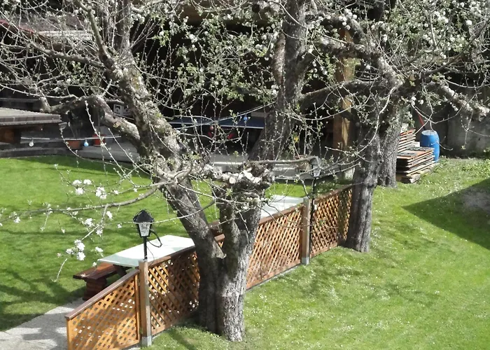 Alpenrose Imsterberg